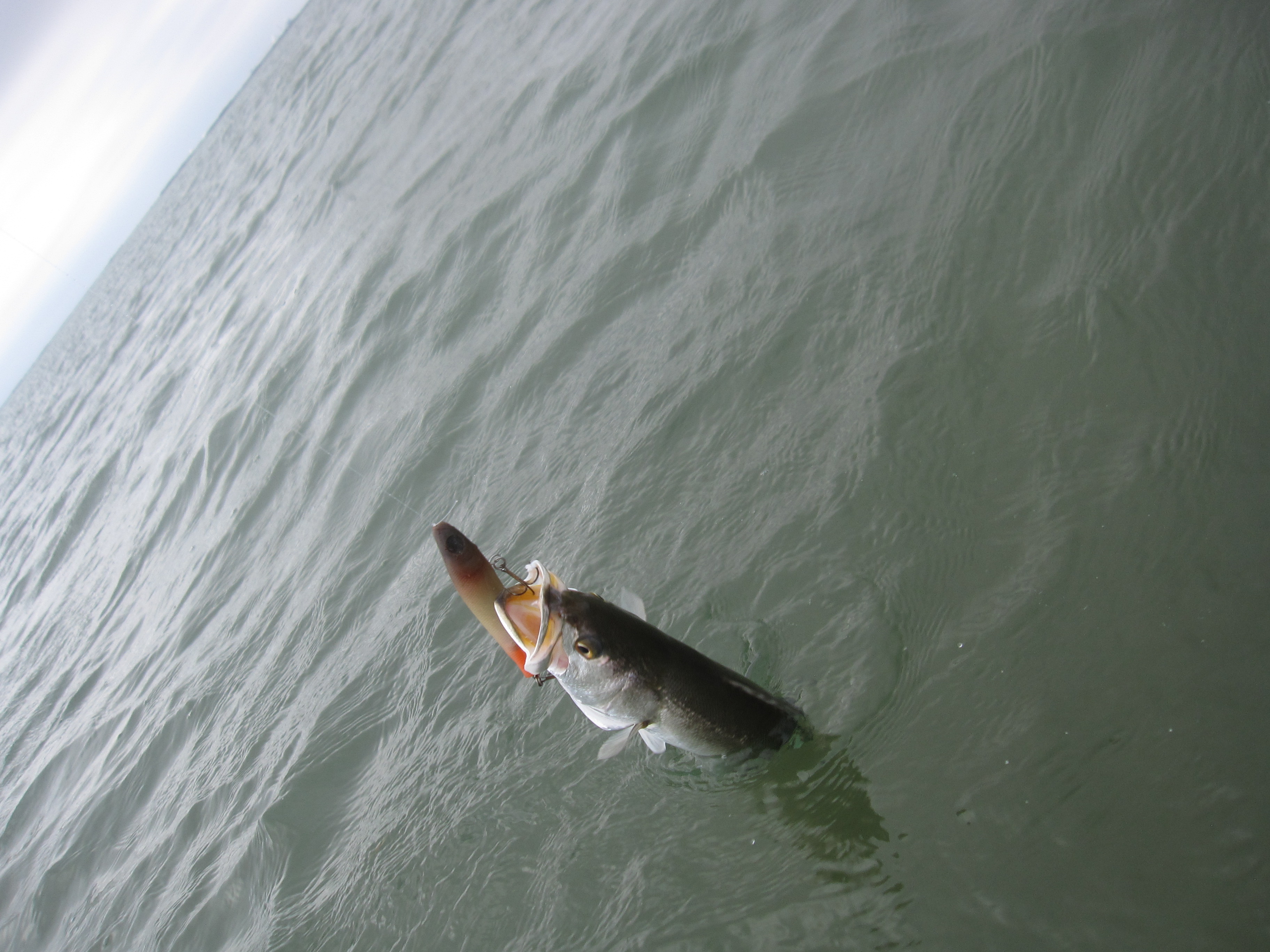 Winter trout fishing with corkies on the Texas coast