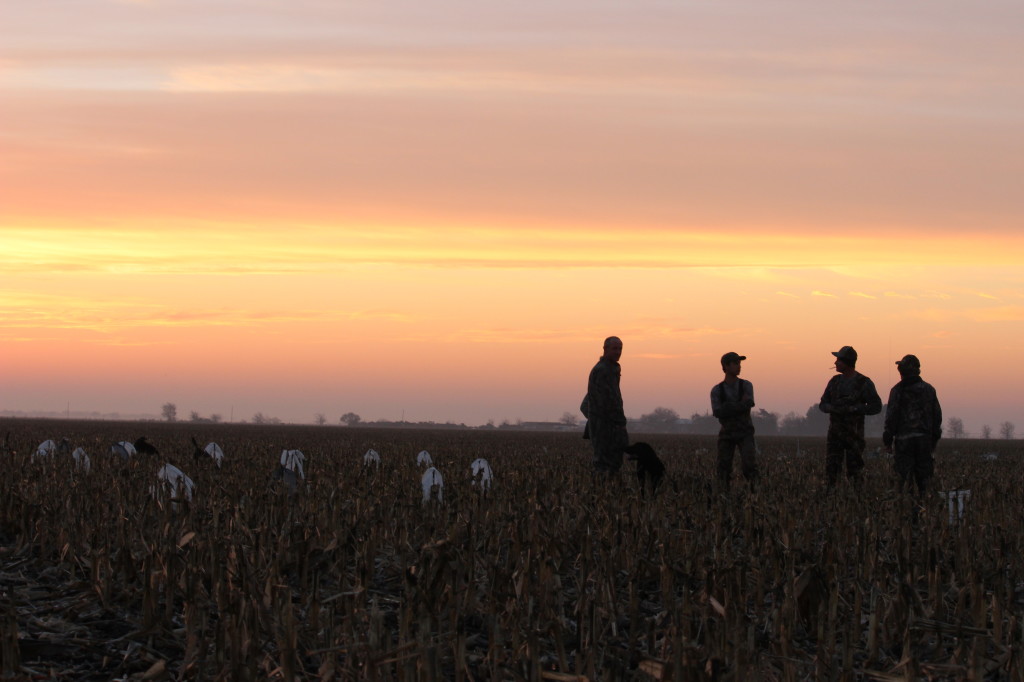 goose hunting 006