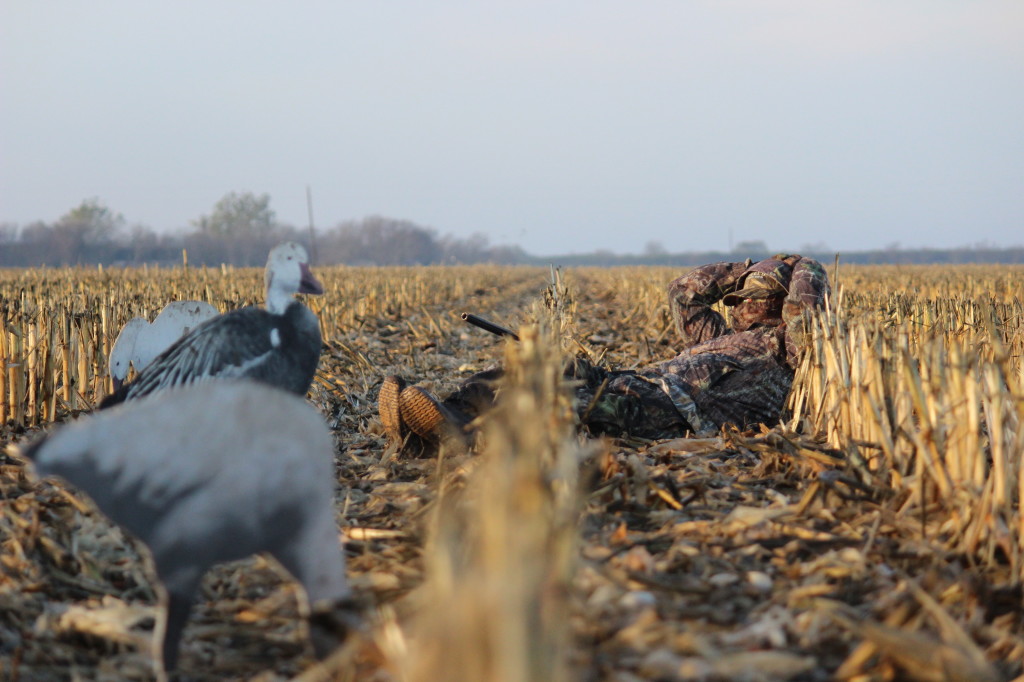 goose hunting 022