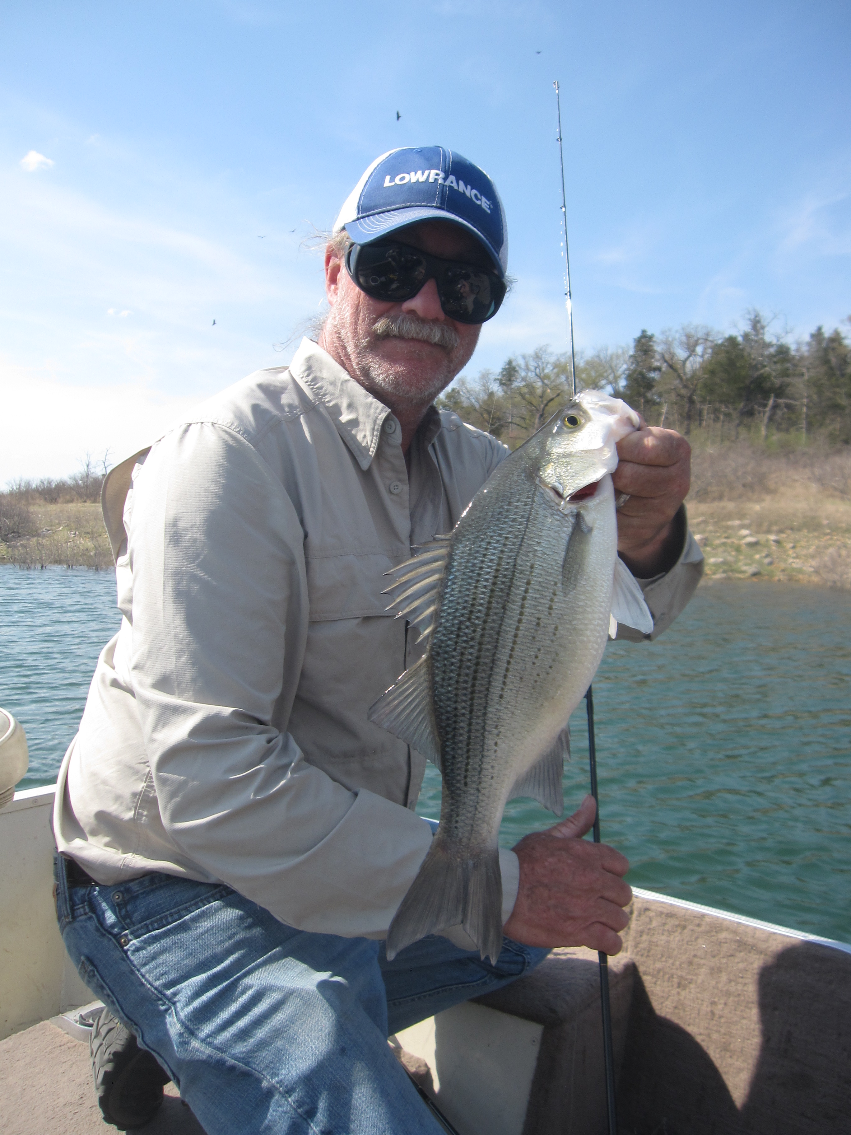 How to Catch White Bass – A Simple Plan