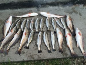 How to Fish Croaker – Everything You Need to Know to get Started